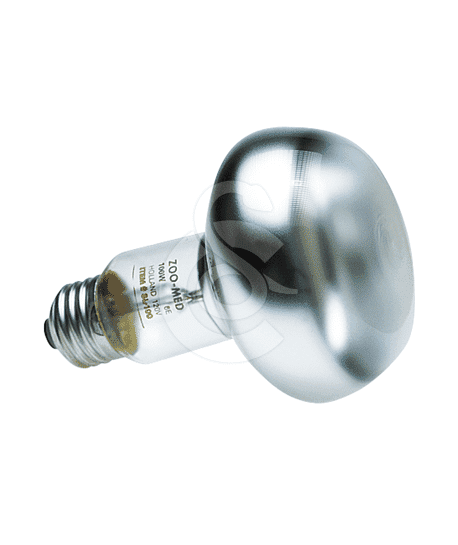 Ampoule chauffante pour petits animaux