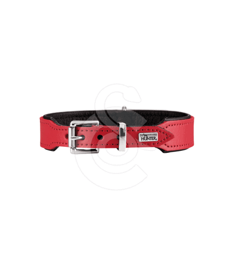 Collier cuir Hunter Basic