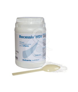 Recessiv HSV