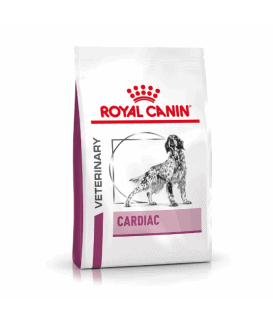 Dog Cardiac