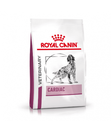 Dog Cardiac