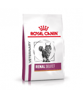 Cat Renal Select
