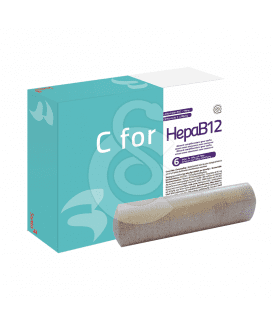 C For HepaB12 +