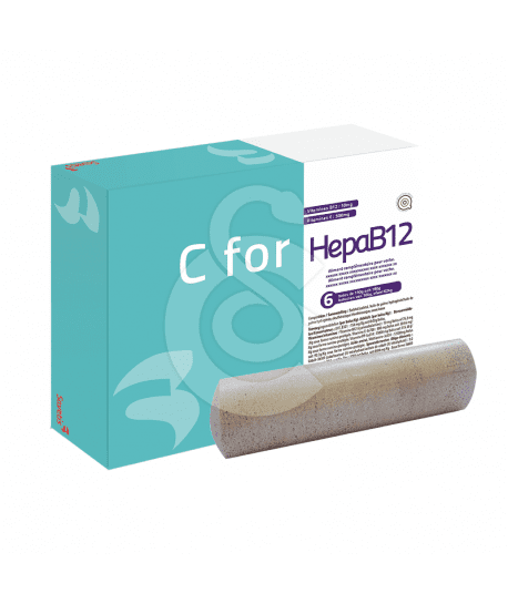 C For HepaB12 +