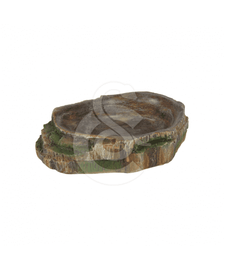 Ecuelle pour eau et nourriture pour terrarium