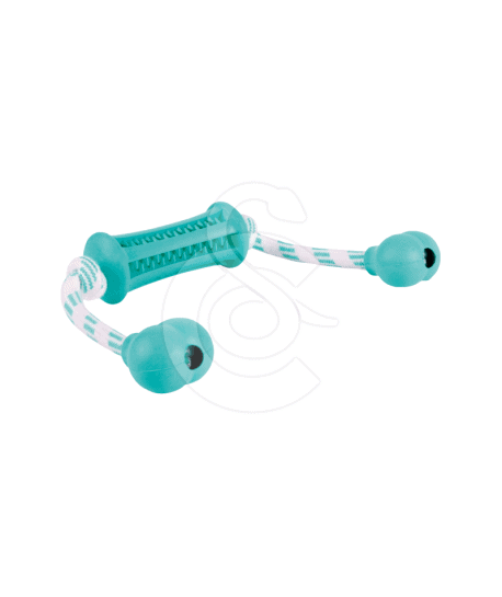 Jouet chien Trixie : Denta Fun Baton avec corde