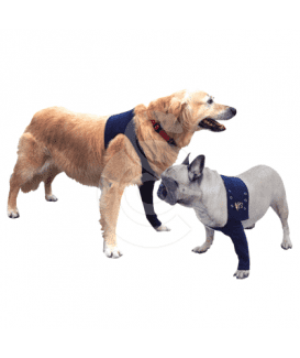 Manche antérieure Pet Shirt pour chien