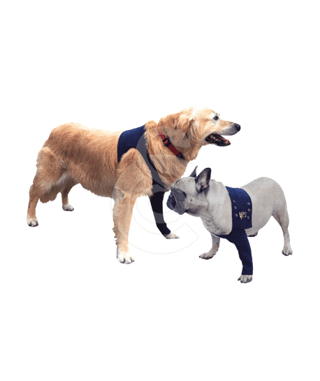 Manche antérieure Pet Shirt pour chien