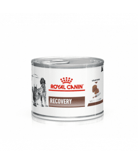 Cat/Dog Recovery
