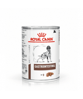 Dog Gastrointestinal Boîtes