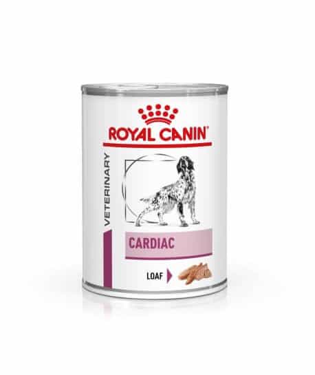 Dog Cardiac Boîtes