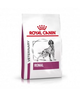 Dog Renal