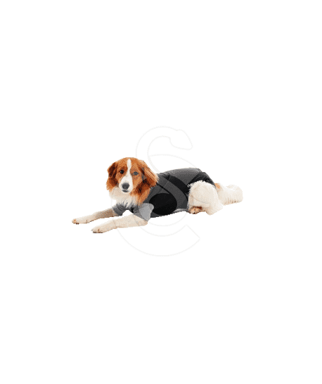 Gilet Body Suit Classic Buster pour chien