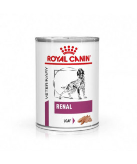 Dog Renal