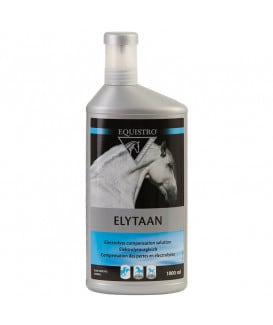 Equistro Elytaan