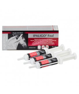 Equistro Ipaligo Foal