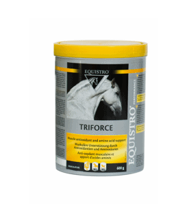 Equistro Triforce