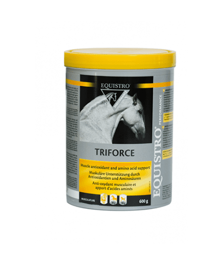 Equistro Triforce