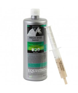Equistro Mega Base Junior