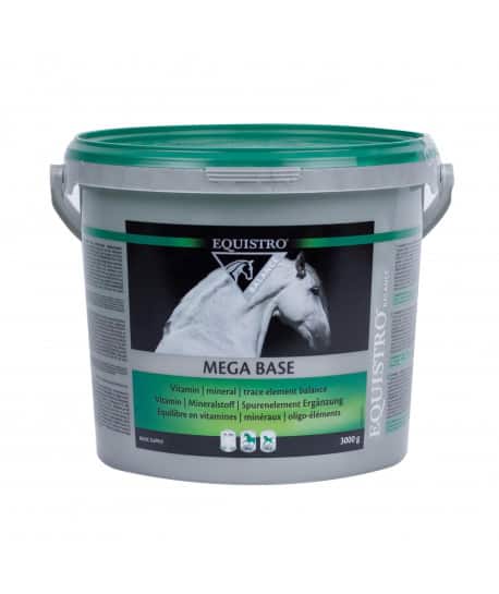 Equistro Mega Base