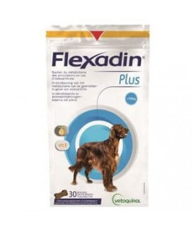 Flexadin Plus maxi