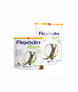 Flexadin Advanced Chat