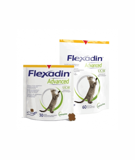 Flexadin Advanced Chat