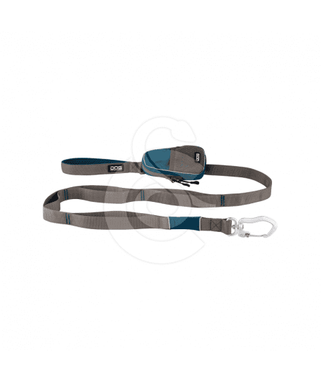 Laisse Dog Copenhagen Urban Trail