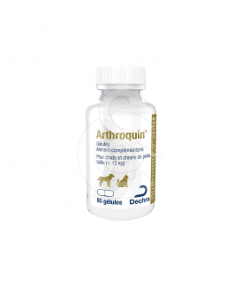 Arthroquin 300 mg