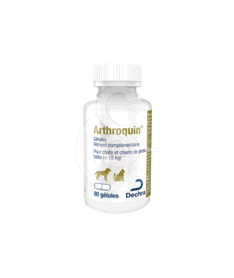 Arthroquin 300 mg