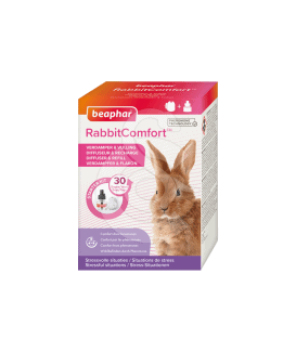 Rabbit Comfort