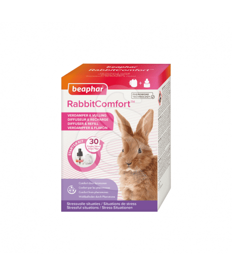 Rabbit Comfort