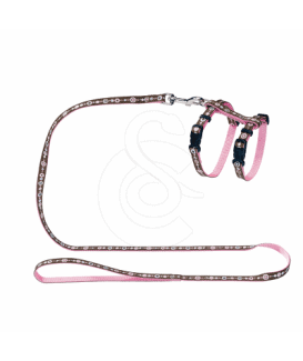 Ensemble harnais / laisse chat Hunter