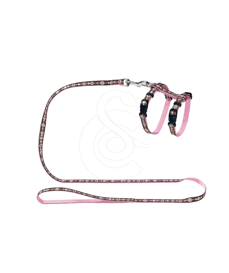 Ensemble harnais / laisse chat Hunter