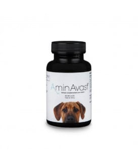 AminAvast Chiens