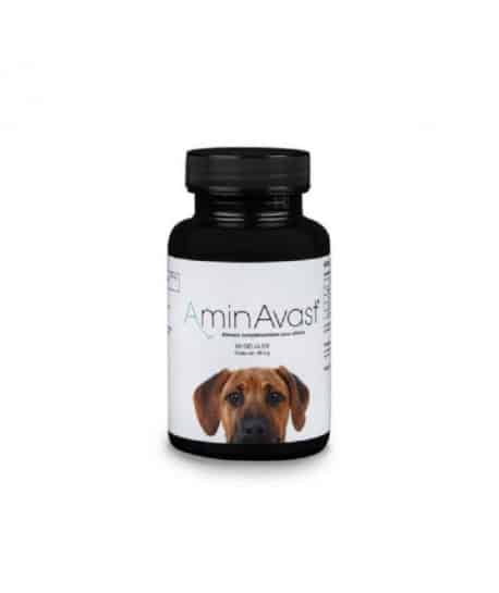 AminAvast Chiens