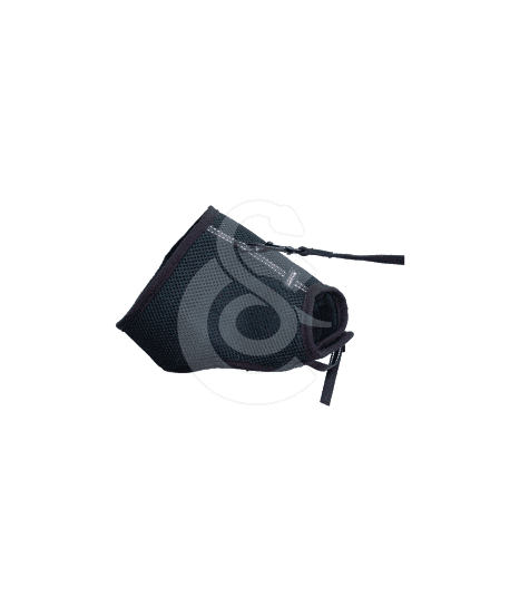 Ensemble harnais / laisse chat Soft