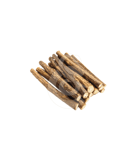 Matatabi pour chat en bâtonnet