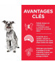 Chien Mature Adult 7+ Light Small&Mini Poulet