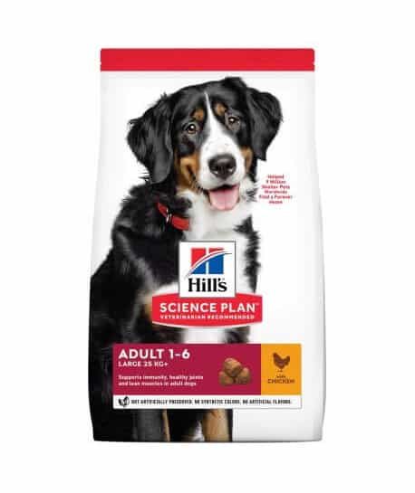 Chien Adult Large Breed Poulet