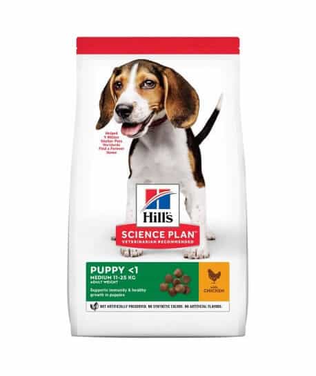 Chien Puppy Medium Poulet