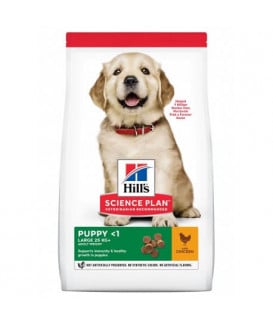 Canine Puppy Large Breed Poulet