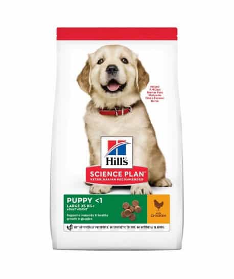 Canine Puppy Large Breed Poulet