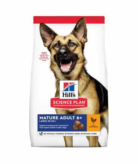 Chien Mature Adult 6+ Large Breed Poulet