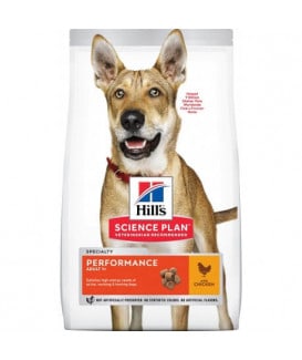 Chien Adult Performance