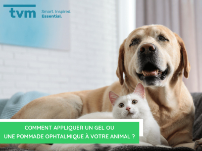  Comment appliquer un gel ou une pommade ophtalmique à votre animal ?