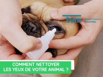 Comment nettoyer les yeux de votre animal ?