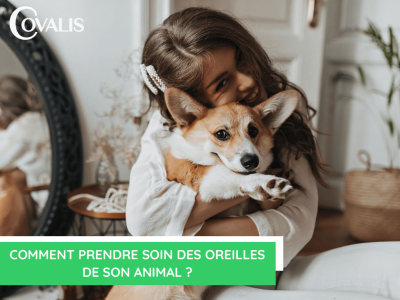  Comment prendre soin des oreilles de son animal ? 