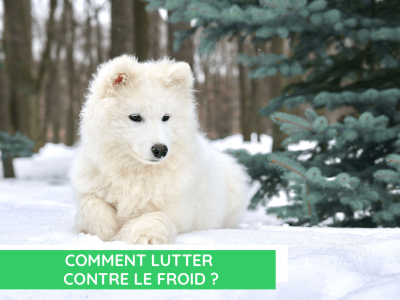 Comment lutter contre le froid ?