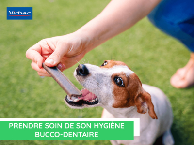  Prendre soin de son hygiène bucco-dentaire